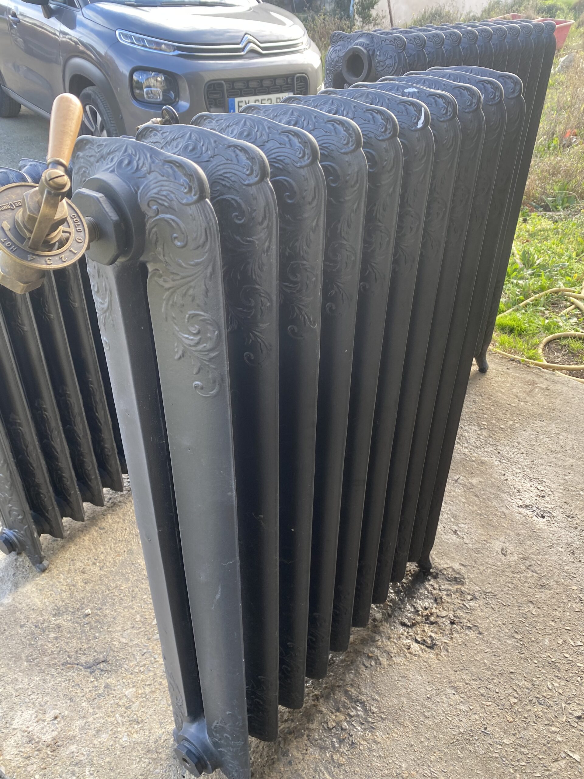 radiateurs fleuris noir